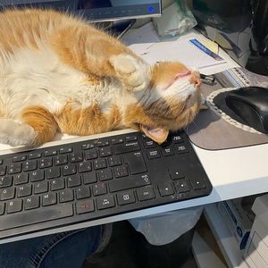 Meet your Posher, Lorie